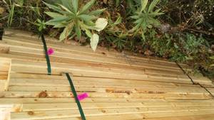 lot 43 image: Cull Lumber 2 x 4 x 6 (approx. 100).