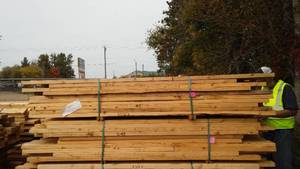 lot 45 image: Cull Lumber 2 x 4 (75 approx. qty).