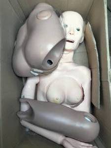 lot 8 image: Halloween Decor