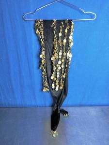 lot 70 image: Gypsy Belly Dancer Belt  Scarf