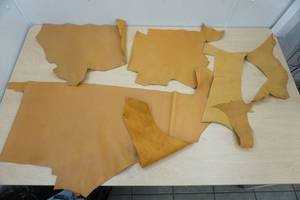 lot 50 image: Tan Leather (4 pieces)