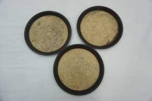 lot 316 image: Serving Trays (3ct) LeBeau 11 diameter