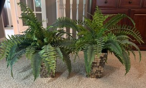 lot 30R image: LR - Pair of Faux Fern Plants in Mosaic Style Square Planters
