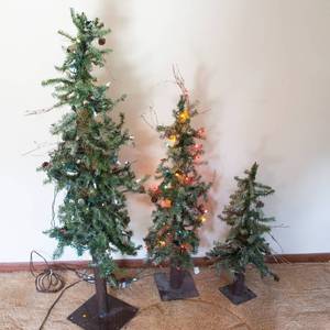 lot 60 image: Set of 3 Christmas Trees with Lights