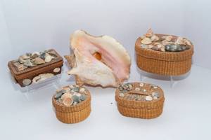 lot 264 image: Collection of Shell Baskets and Seashells