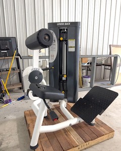 lot 15 image: Magnum Lower Back Extension Machine