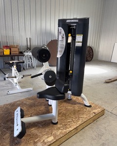 lot 11 image: Magnum Abdominal Machine