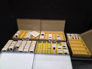 lot 2041 image: Large collection of Kodak slides and cases