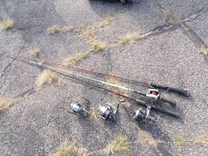lot 48 image: 3 Fishing Poles and 4 Reels