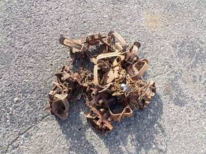 lot 52 image: Large Trap Lot