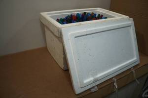 lot 221 image: Empty Shells