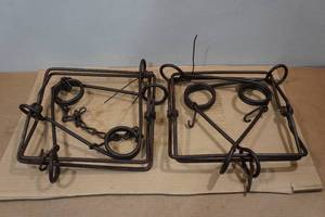 lot 249 image: Vintage Victor Double Spring Beaver Traps