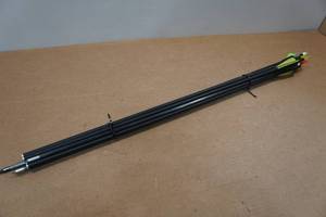 lot 66 image: 10 Cabelas Carbon Arrows