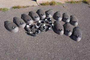 lot 149 image: Goose Decoys