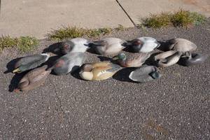 lot 150 image: Assorted Duck Decoys