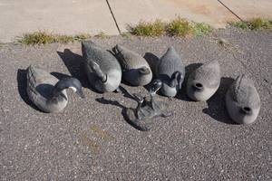 lot 151 image: Assorted Goose Decoy Pieces