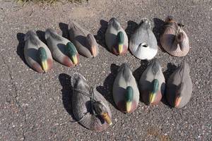 lot 154 image: Duck Decoys