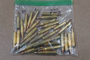 lot 378 image: 30 Mixed .223 Rem FMJ Ammo