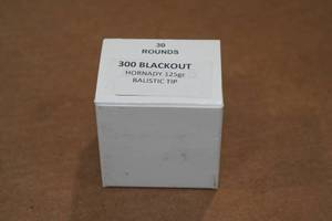 lot 395 image: 30 .300 Blackout 125 Gr Hornady Ballistic Tip Ammo