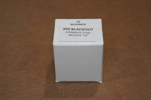 lot 396 image: 30 .300 Blackout 125 Gr Hornady Ballistic Tip Ammo
