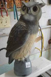lot 187 image: Dock Owl