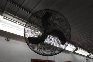 lot 66 image: Hanging 30 Fan