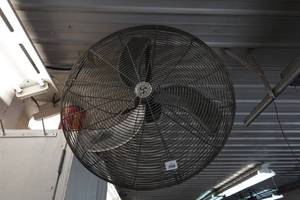 lot 65 image: Hanging 30 Fan