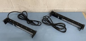 lot 113 image: (2) Rack-Mountable APC Power Distribution  Electrical Outlet Strips