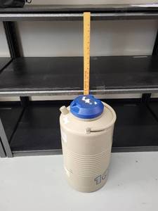 lot 4L image: Taylor-Wharton 10LD Dewar Liquid Nitrogen Storage Tank