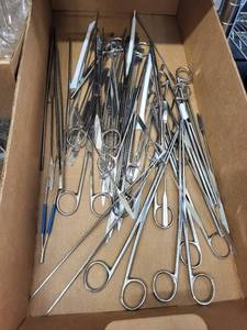 lot 113L image: Assorted Stainless Steel Medical Forceps, Tweezers, and Lab Tools Collection