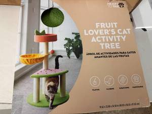 lot 23 image: Cat Activity Tree