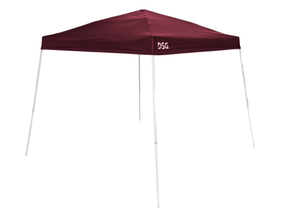 lot 232 image: DSG 10 x 10 Slant Leg Canopy Burgundy