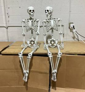 lot 177 image: LOT OF 2 Skeltons 5 ft