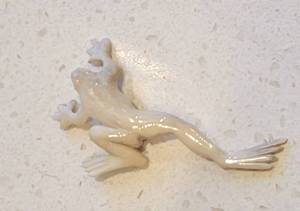 lot 67 image: Asian Signed Carved Tree Frog Netsuke Button