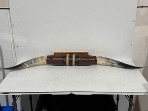 lot 13 image: 48 Inch Texas Longhorns