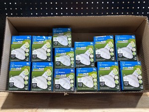 lot 51 image: Westinghouse Flood Lights