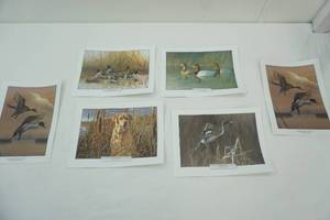 lot 130 image: Wildlife Prints (6ct)