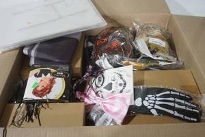 lot 167 image: ALL NEW ITEMS Halloween Costumes, Decor, Masks