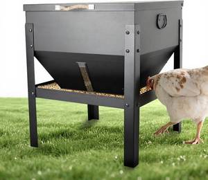 lot 49 image: KOL Chicken Feeder