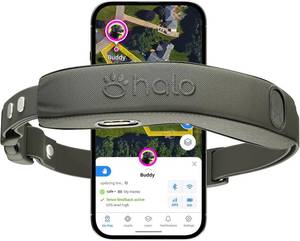 lot 50 image: Halo Collar 4 Wireless Dog Fence and GPS Dog Collar