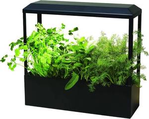 lot 56 image: Modern Sprout Smart Growhouse