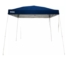 lot 115 image: DSG 10 x 10 Slant Leg Canopy USED