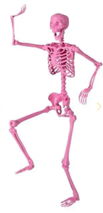 lot 310 image: 5.5 FT Life-Size Halloween Poseable Skeleton Pink