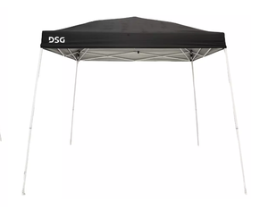 lot 337 image: DSG 10 x 10 Slant Leg Canopy USED