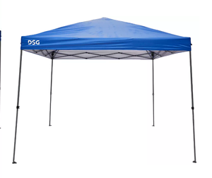 lot 341 image: DSG 10x10 Quick Lift Straight Leg Canopy ROYAL USED