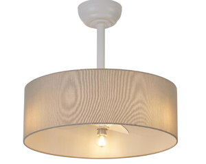 lot 242 image: Boho Ceiling Fan with Light Flush Mount,20inch Caged Ceiling Fan with litght and Remote Control,6-Speed Reversible DC Motor
