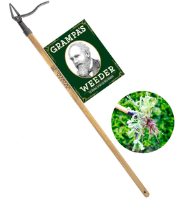 lot 262 image: Grampas Weeder - The Original Stand Up Weed Puller Tool with Long Handle - Made with Real Bamboo & 4-Claw Steel Head Design - Easily Remove Weeds Without Bending, Pulling, or Kneeling.