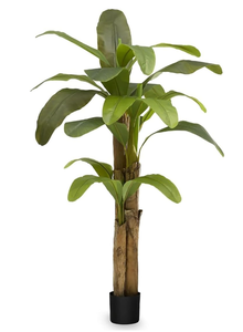 lot 294 image: Maia Shop 6ft Artificial Banana Tree Plant for House, Apartment or Office  Realistic Fake Indoor Plants for Living Room, Kitchen, Bedroom, Entryway or Bathroom  Faux Greenery for Home Dcor