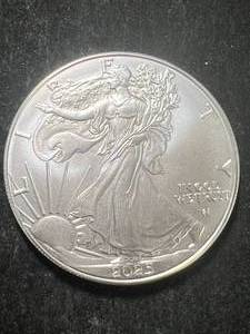 2025 AMERICAN SILVER EAGLE 1 TROY OZ .999 FINE SILVER
