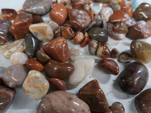 lot 24 image: AGATES AND POLISHED ROCKS